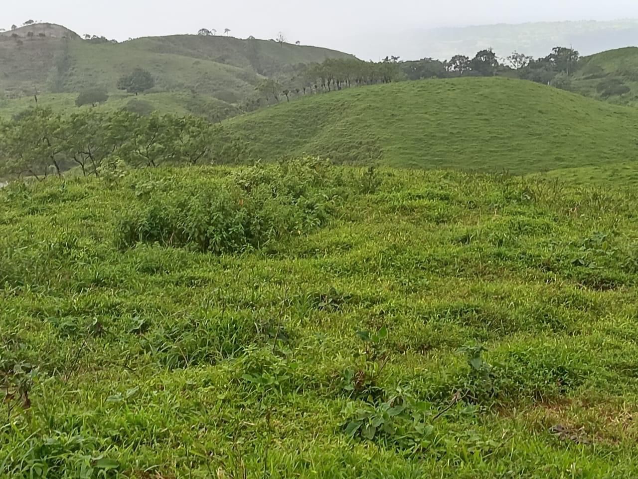 Costa Rica
